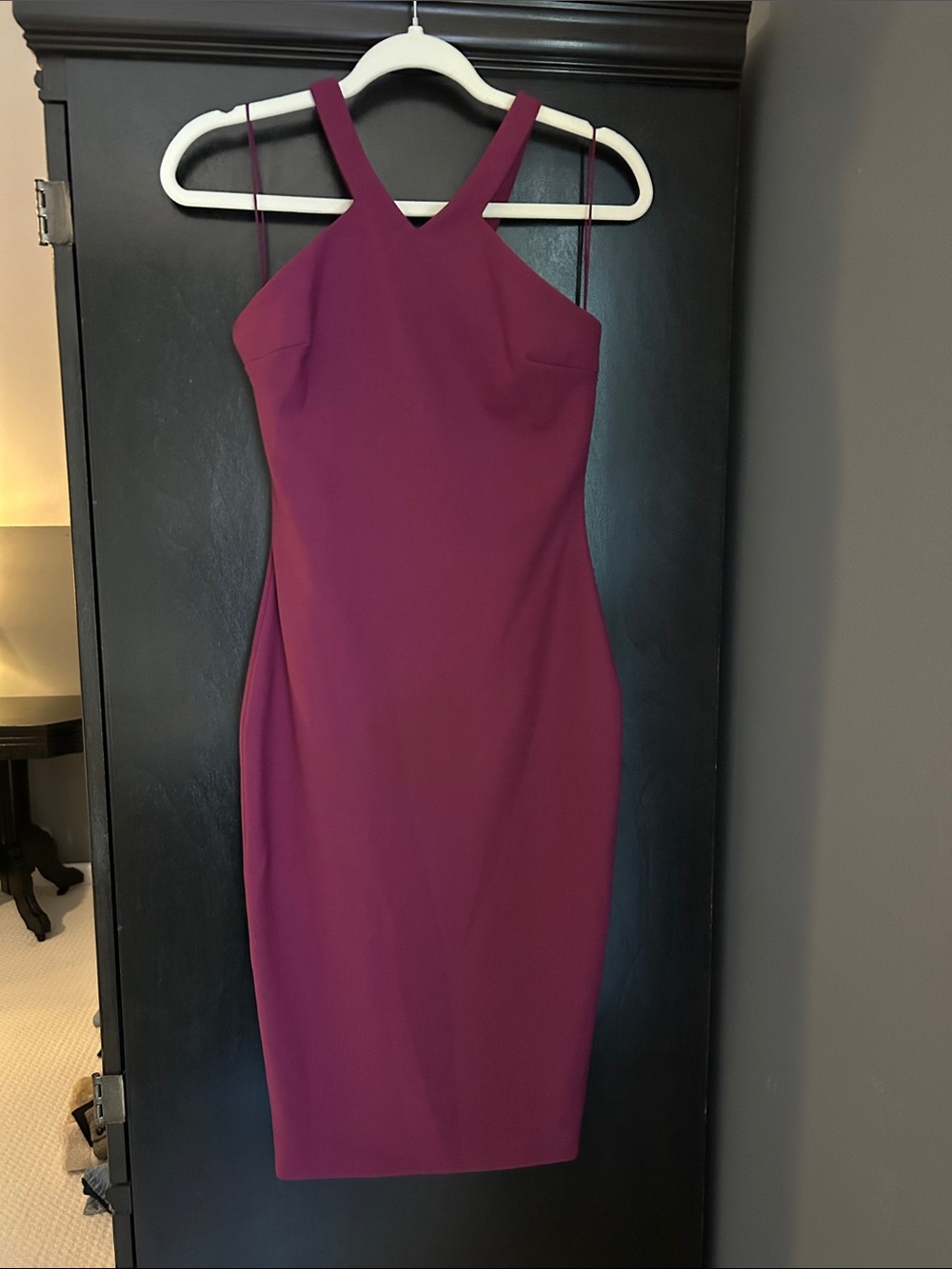 Elizabeth and James Wine-Magenta Fitted Midi Sheath Dress